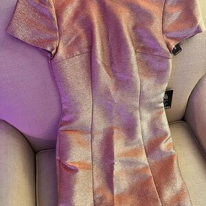 Express Iridescent Purple Dress